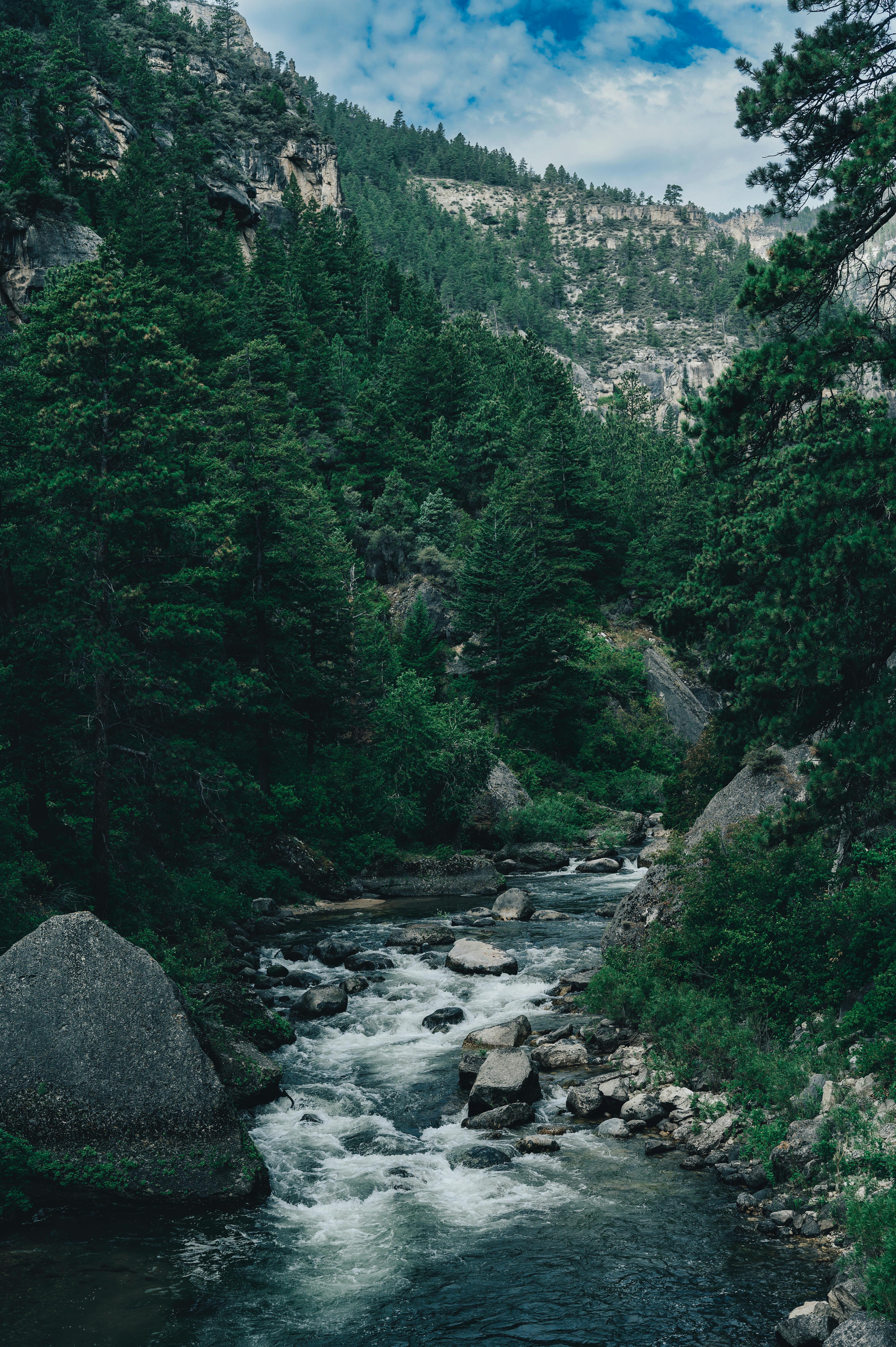 What is a natural version of Viagra?