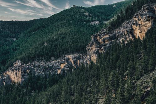 Free A breathtaking view of a lush forested mountain landscape under a serene sky. Stock Photo