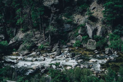 Free Serene river flowing through lush forest and rocky terrain. Perfect for nature enthusiasts. Stock Photo
