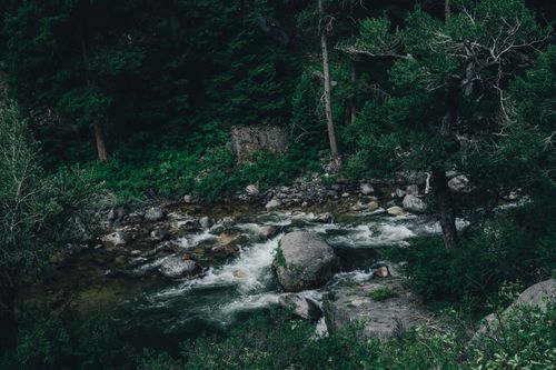 Free A tranquil river flows through a lush forest, surrounded by rocks and greenery, capturing the essence of nature. Stock Photo