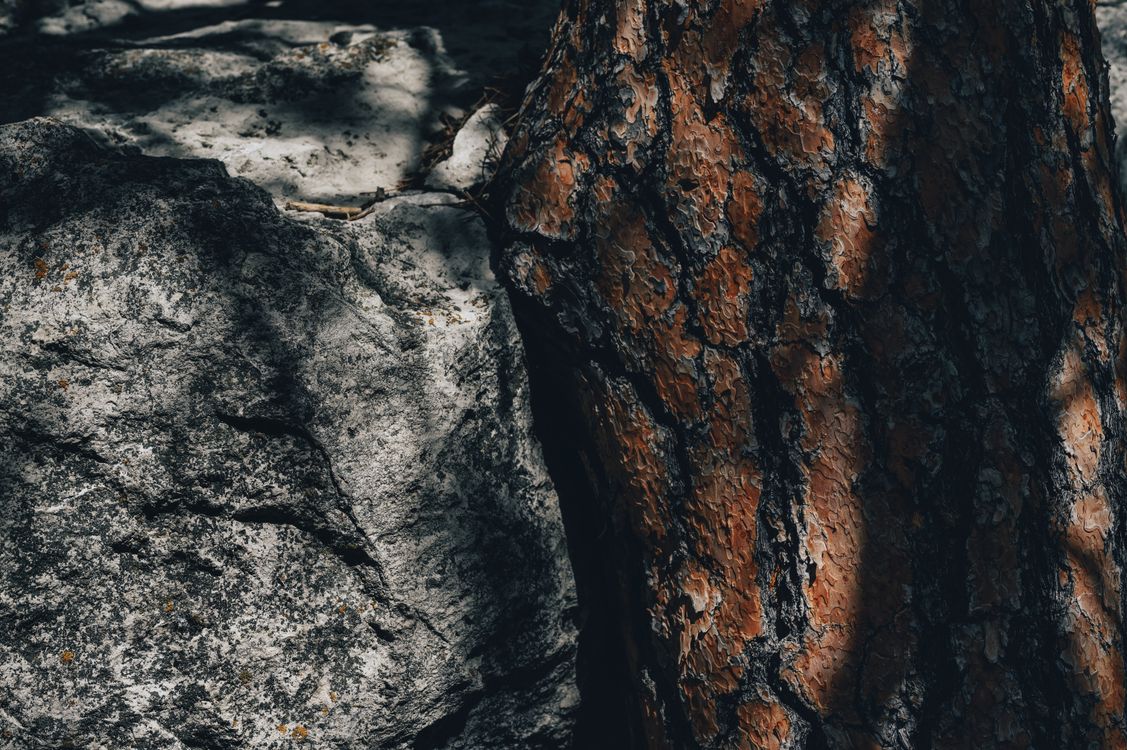 Fall Rocks Up Close Close up of a Rock · Free Stock Photo