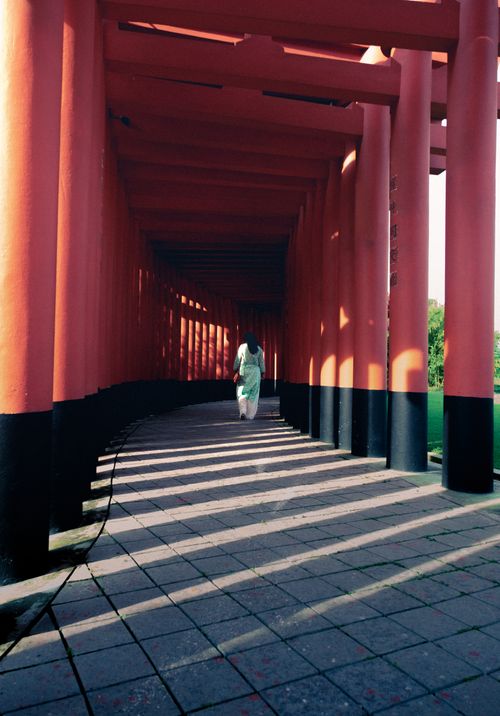 Free A woman walks through the iconic torii gates of Fushimi Inari Shrine in Kyoto, Japan. Stock Photo
