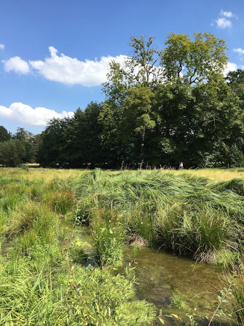 Kostnadsfri bild av landsbygden, landskap, lantlig