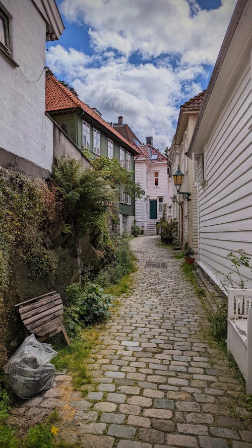 Photo of an Alley with Plants