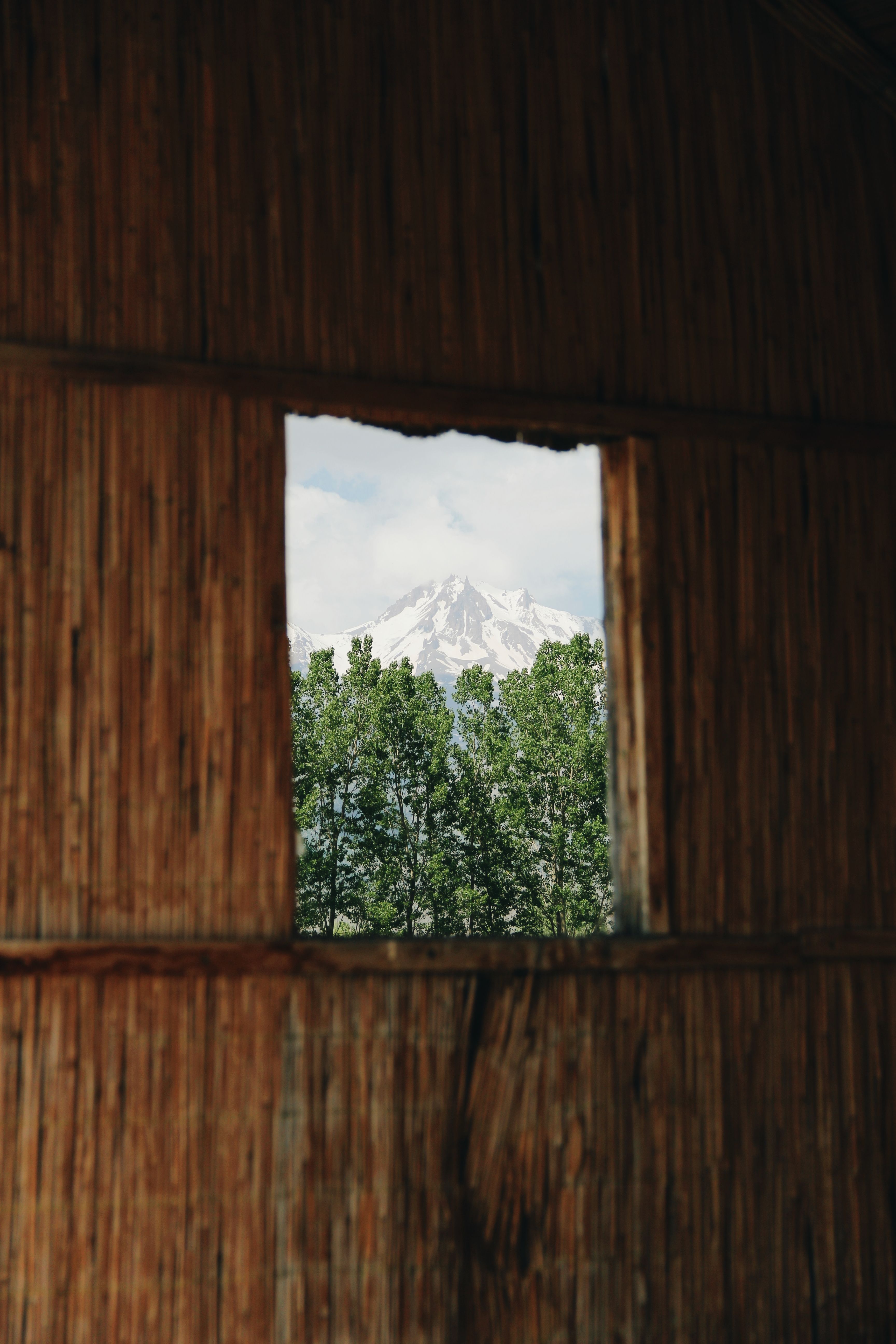 View of a snow-capped mountain through a rustic wooden window with green trees visible.