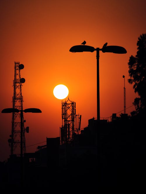 A Silhouette of Street Lamps and a Radio Tower during the Golden Hour