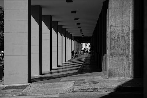 Foto d'estoc gratuïta de blanc i negre, ciutat, ciutats