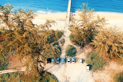 Taman Tujuh Kendaraan Di Bawah Pohon Daun Hijau Dekat Pantai Laut Fotografi Udara