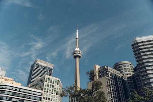 High Rise Buildings Under Blue Sky