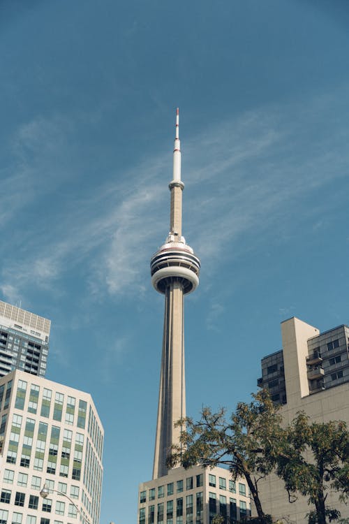 Základová fotografie zdarma na téma budovy, CN tower, kanada