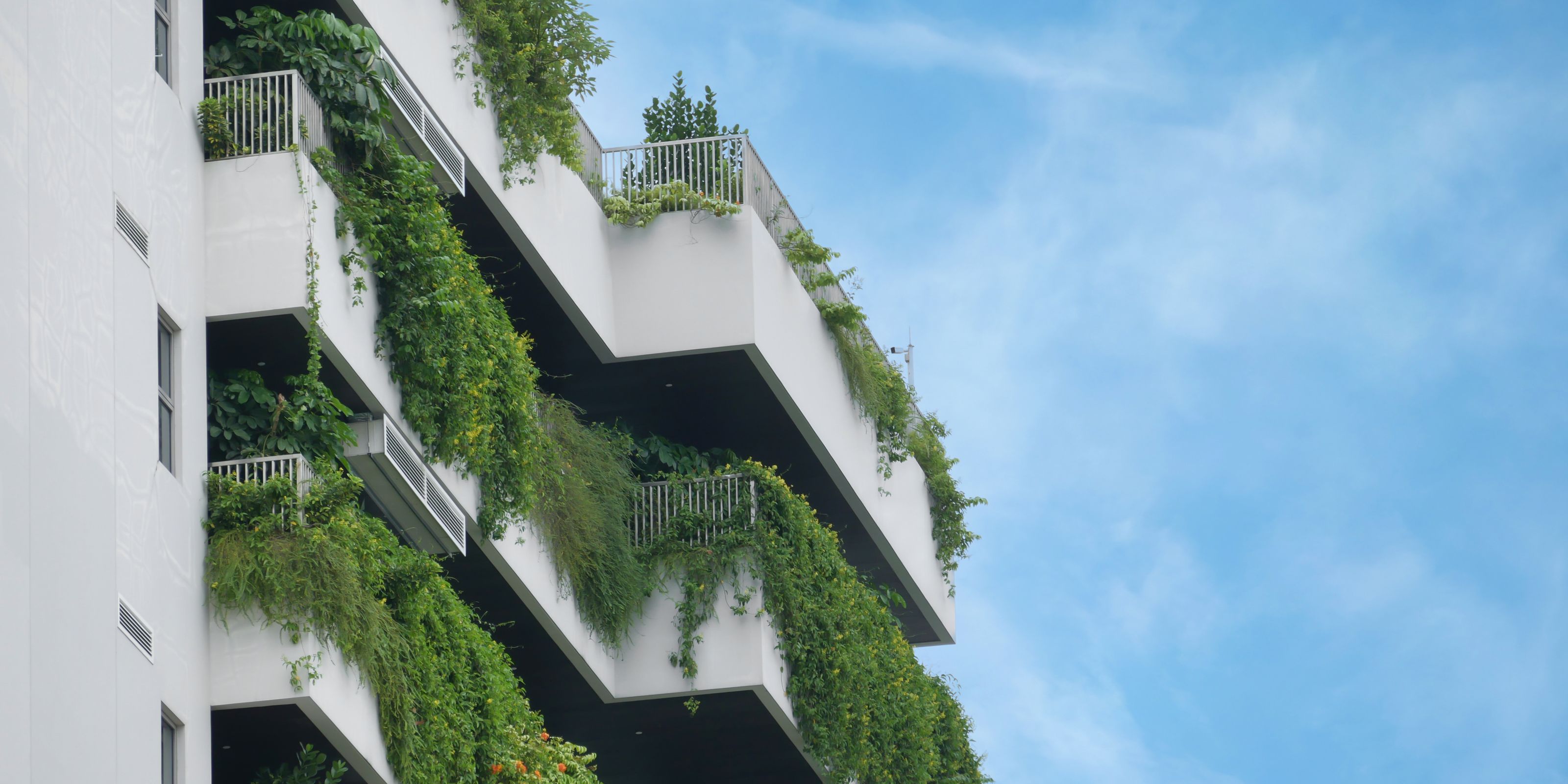 The Living Facade: Are Green Buildings the Future of Cities?