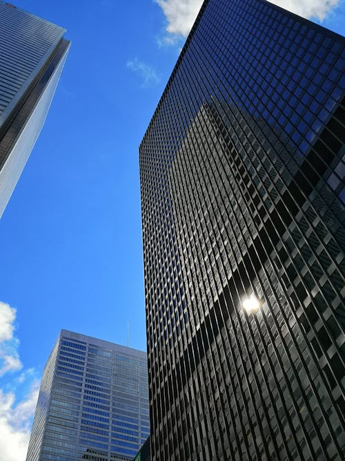 Free stock photo of architecture, big city, canada