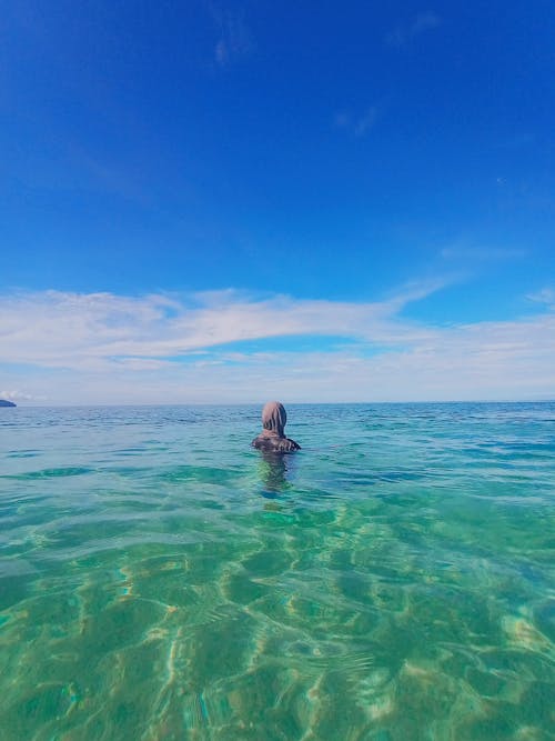 A Person Swimming in the Ocean