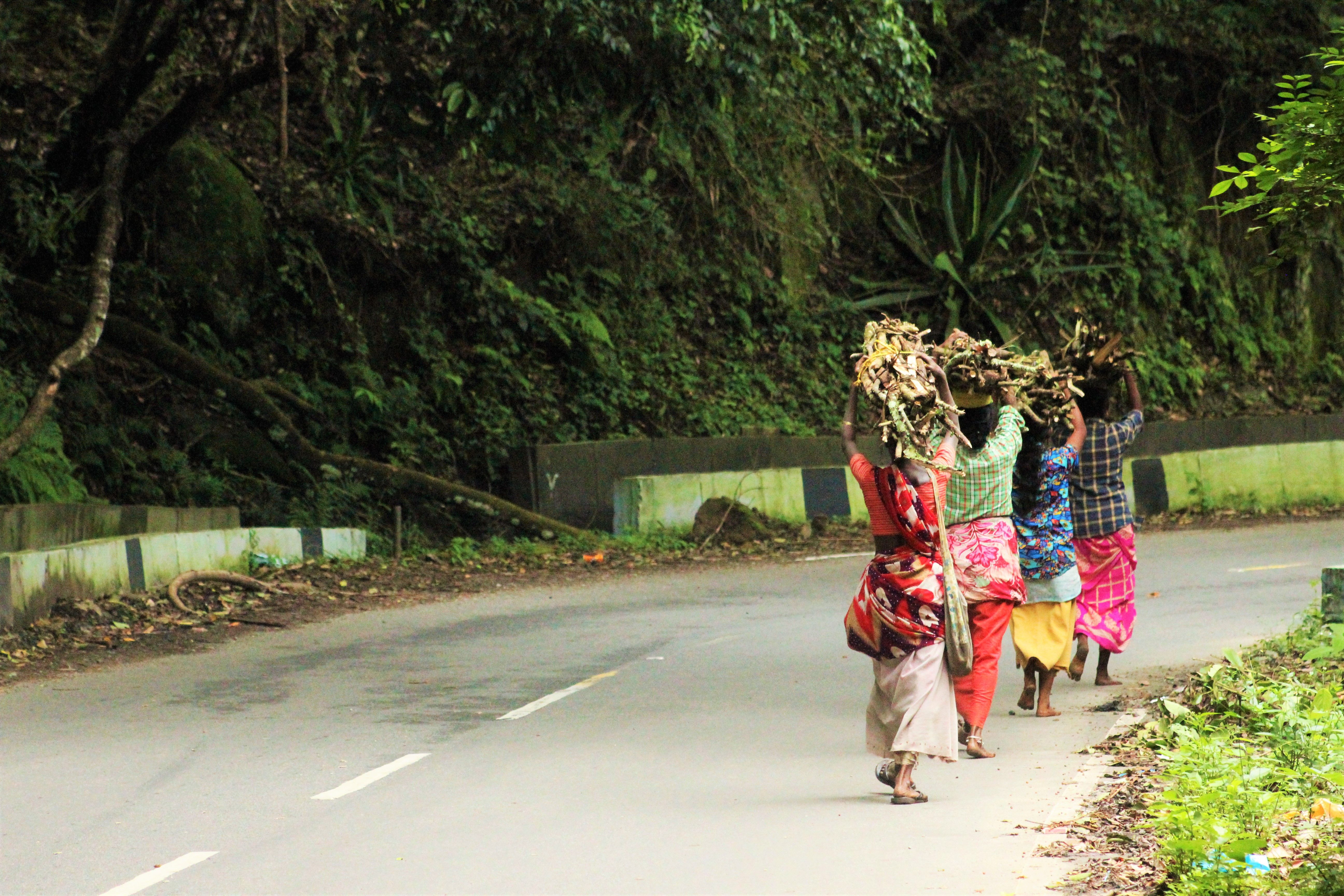 How Homeward Bound helps women find financial independence — Photo by Benhur Emmanuel on Pexels