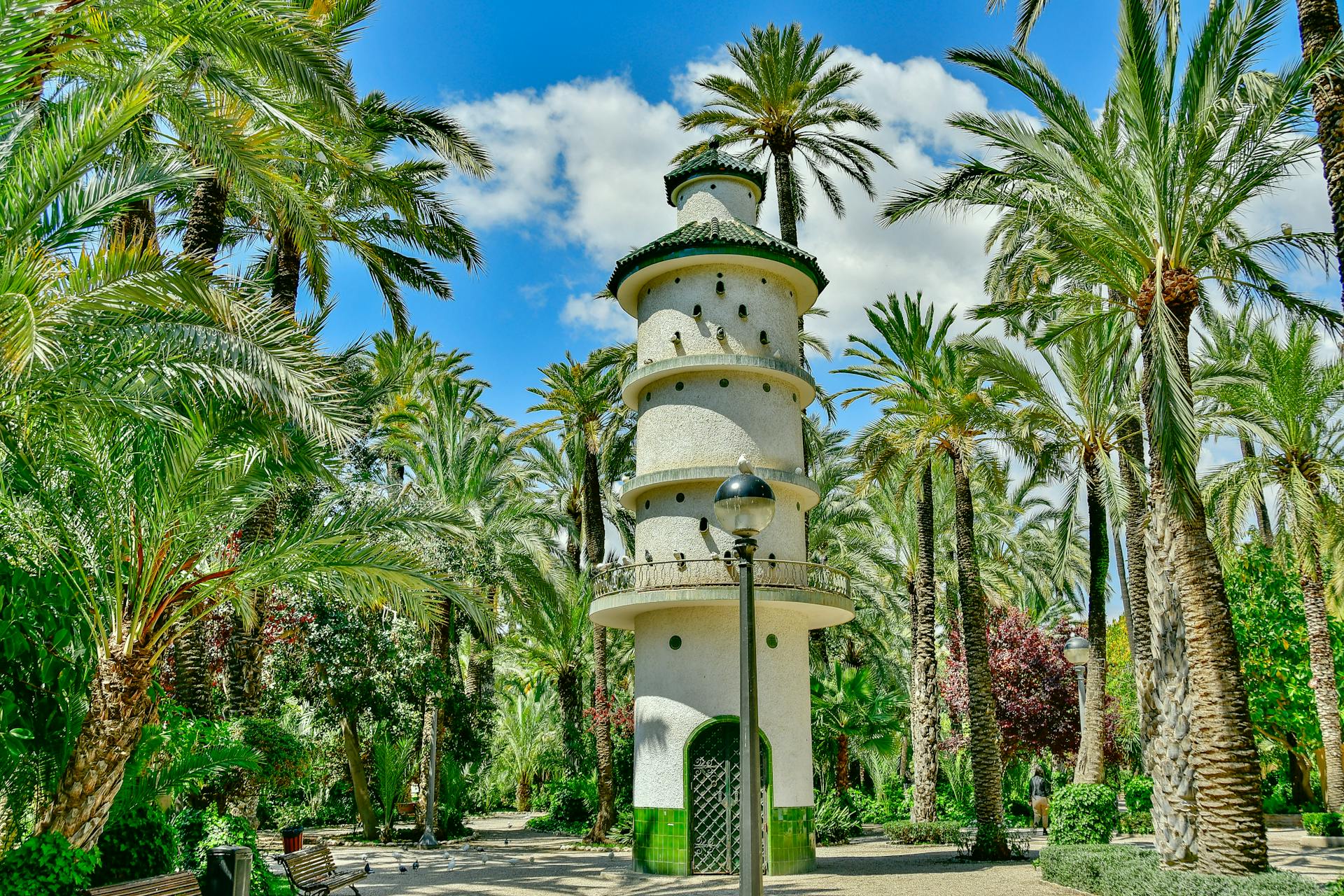 Explore the lush palm grove with iconic tower in Elche, Spain's scenic park.