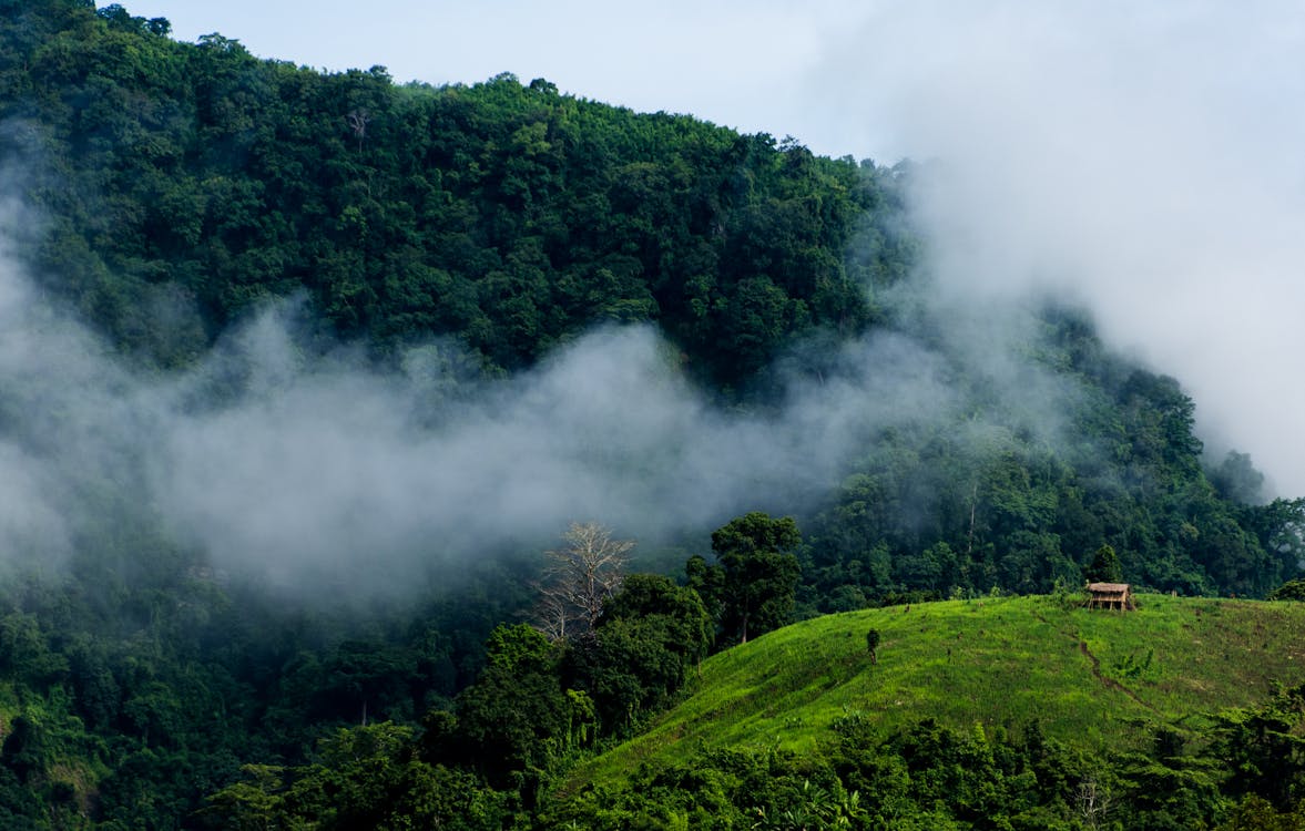 Free stock photo of banarban, clouds, hilly