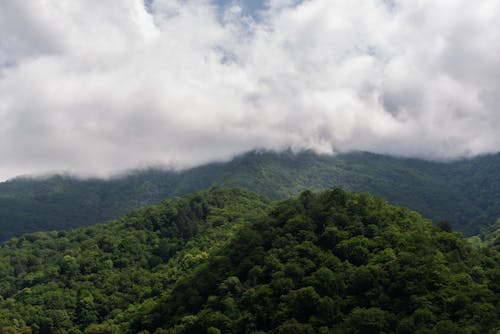 Δωρεάν στοκ φωτογραφιών με βουνά, δέντρα, παχιά σύννεφα Φωτογραφία από στοκ φωτογραφιών