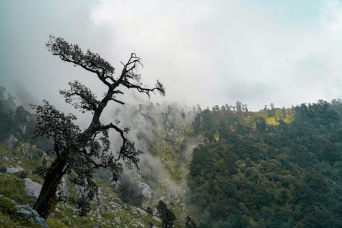 Fotobanka s bezplatnými fotkami na tému after-daždi, cestovať, dážď pozadia