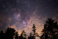 树木轮廓上覆盖着星空中的银河系，非常适合自然和太空探索主题