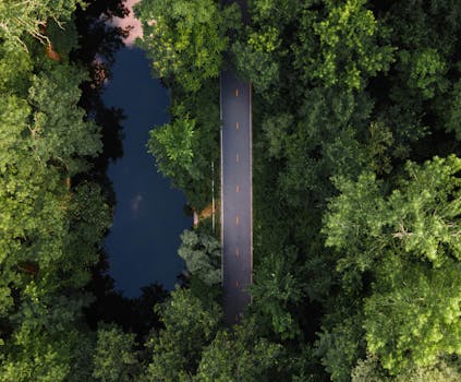 Breathtaking aerial shot of a road cutting through dense green forest in Pawtucket, RI.