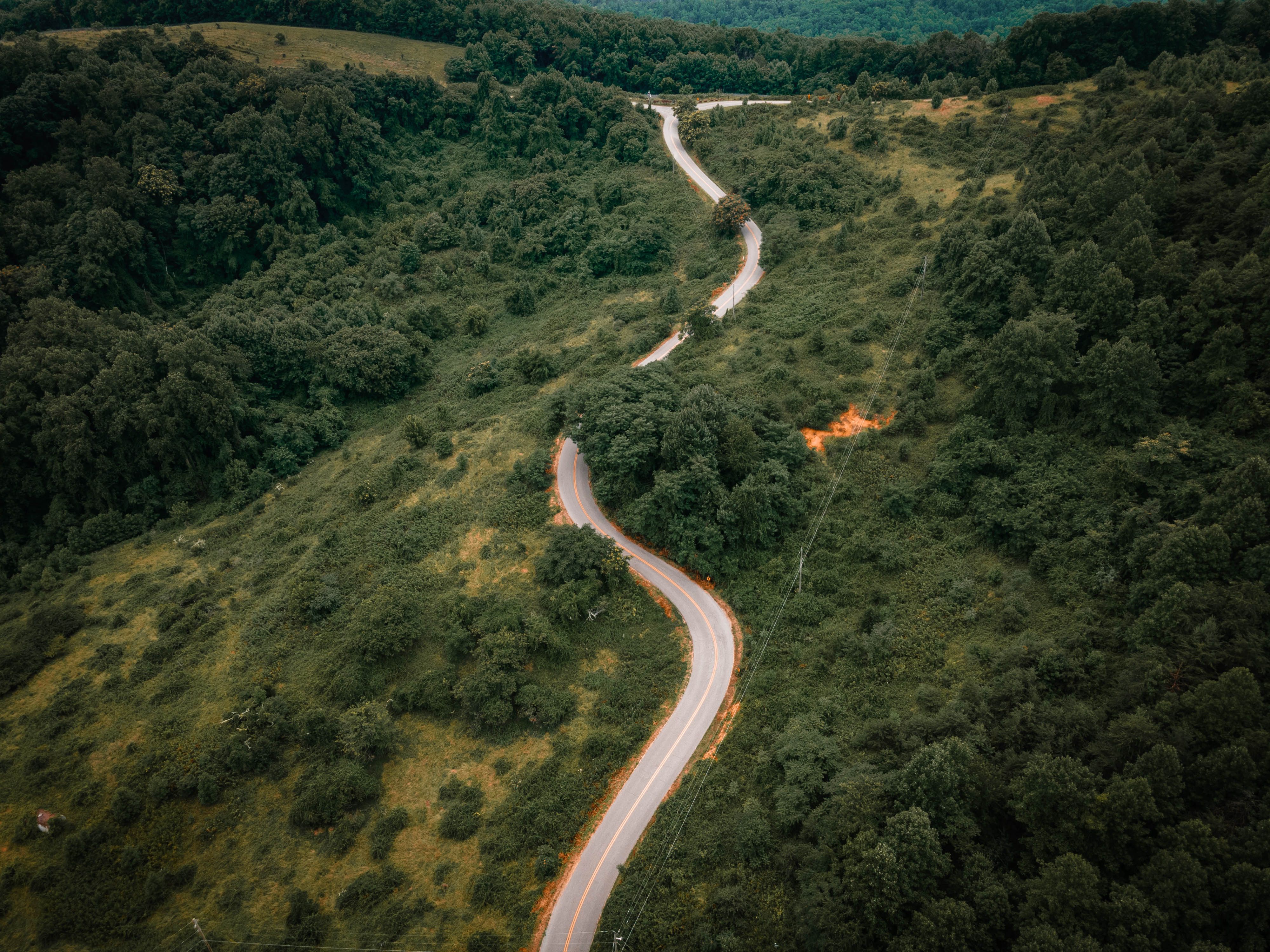 Aerial view of a winding road through lush greenery in Roanoke, Virginia.
