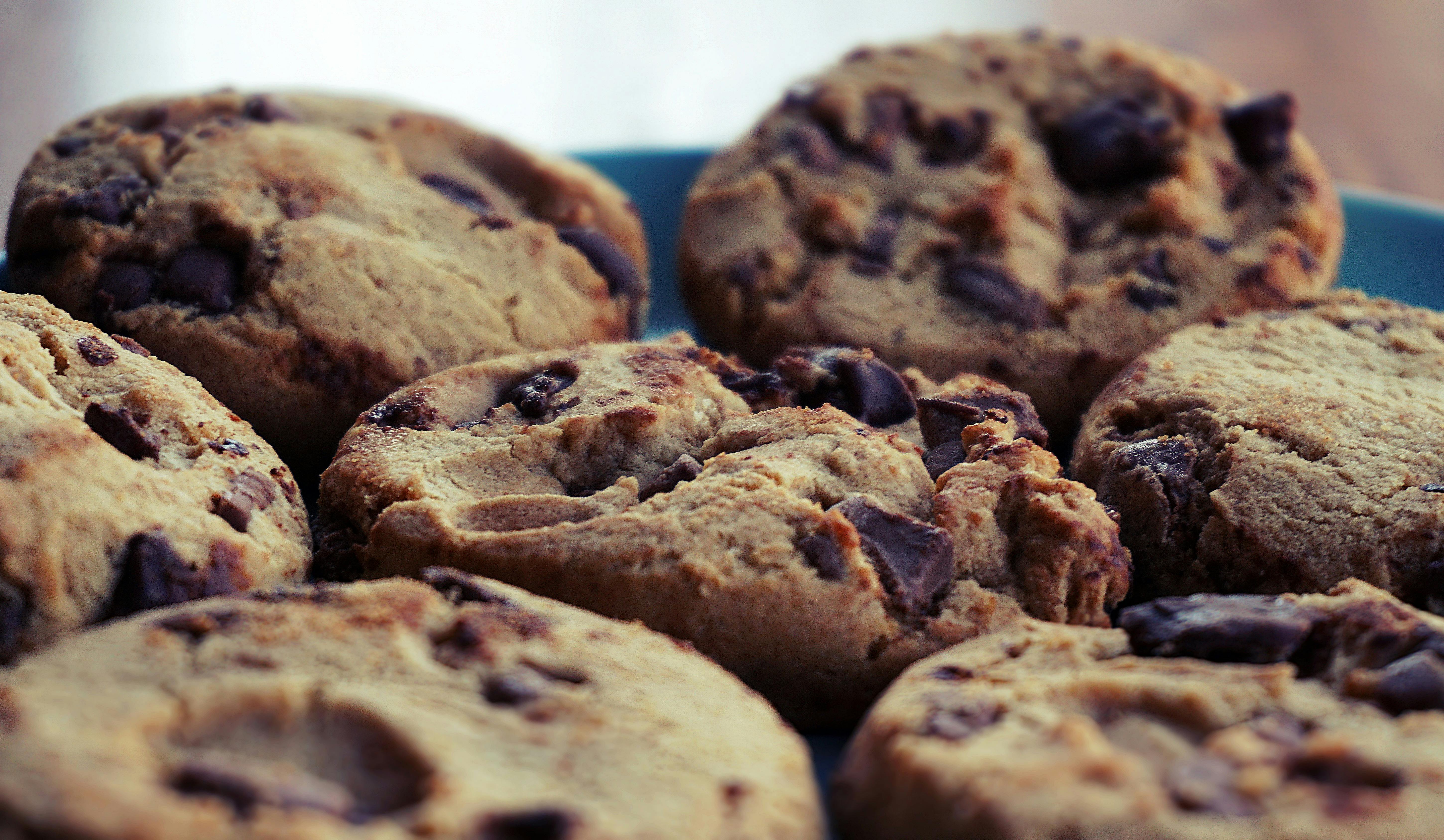 Free stock photo of chocolate, chocolate chip cookies, close up