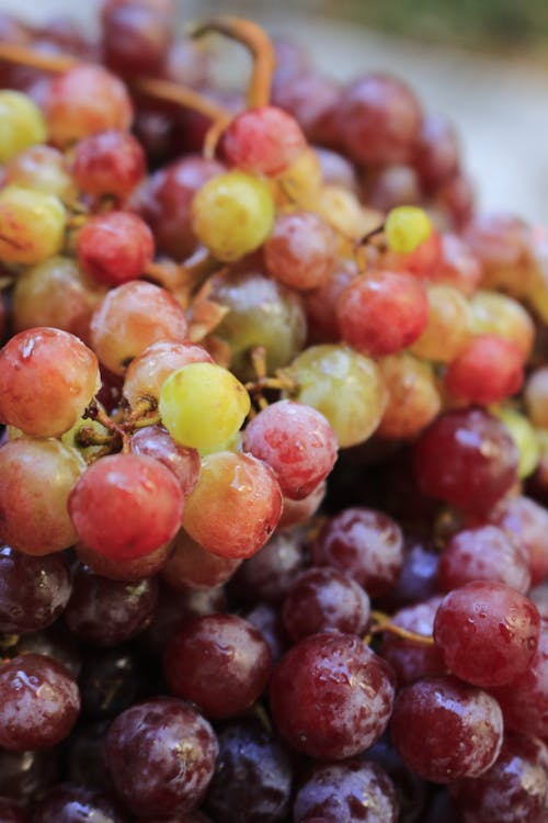 Close-Up Photograph of Grapes