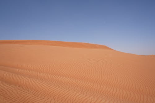 Field of Desert Sand  Under Blue Sky