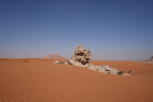 Gray Rock Formation on Desert Field