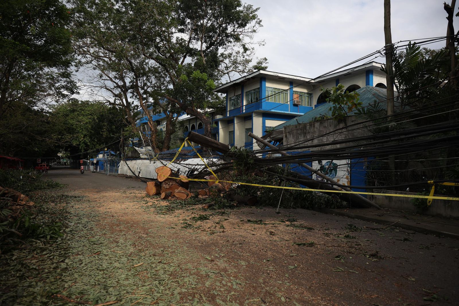 A fallen tree and downed power lines blocking a suburban street after a storm.