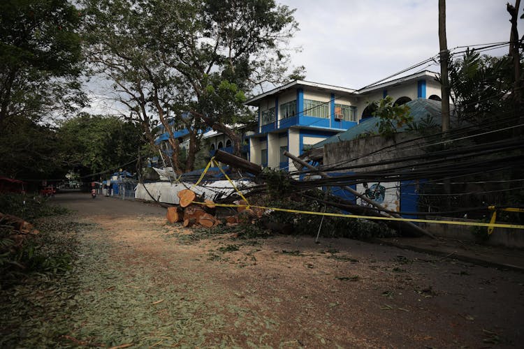 Cables After Hurricane