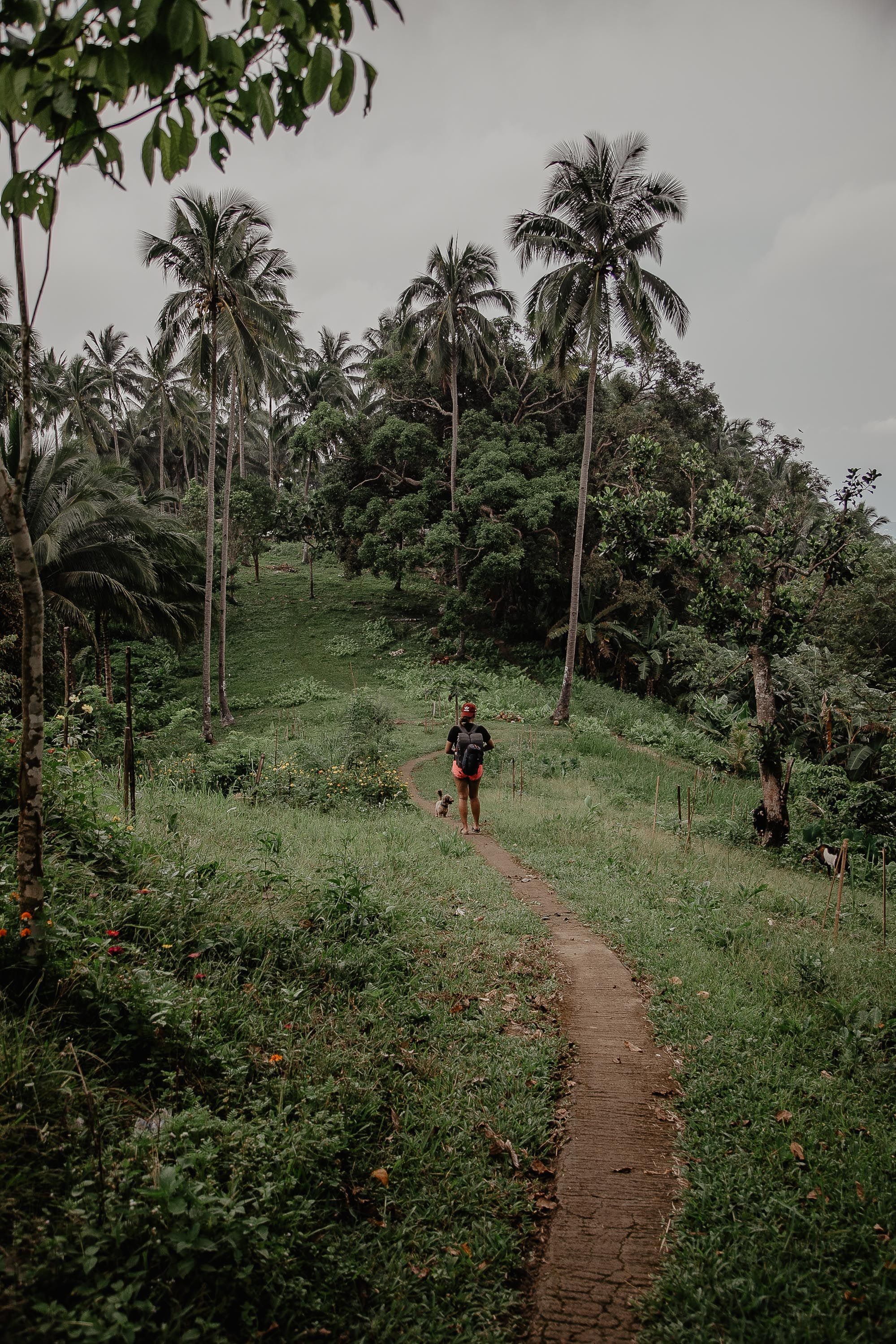 Person Walking on Pathway Between Green Grass and Trees · Free Stock Photo