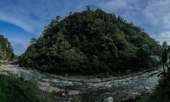 Panoramic View of a River and a Tropical Forest 