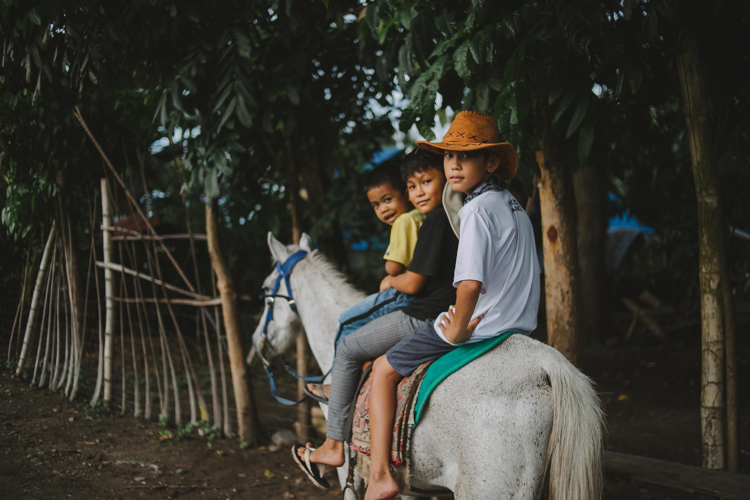 Children Riding Horse With Adult Guiding · Free Stock Photo