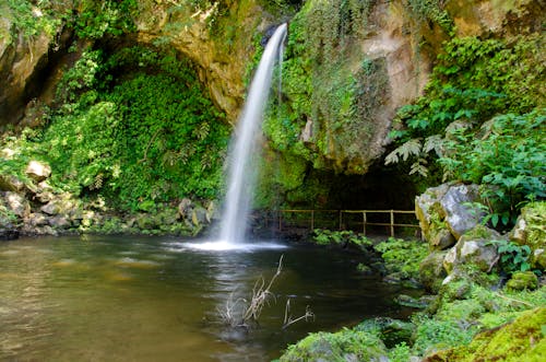 Waterfall in a Forest of Sao Miguel Island