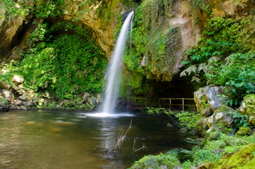 Free Tranquil waterfall cascading into a serene pool surrounded by lush greenery and rocks. Stock Photo