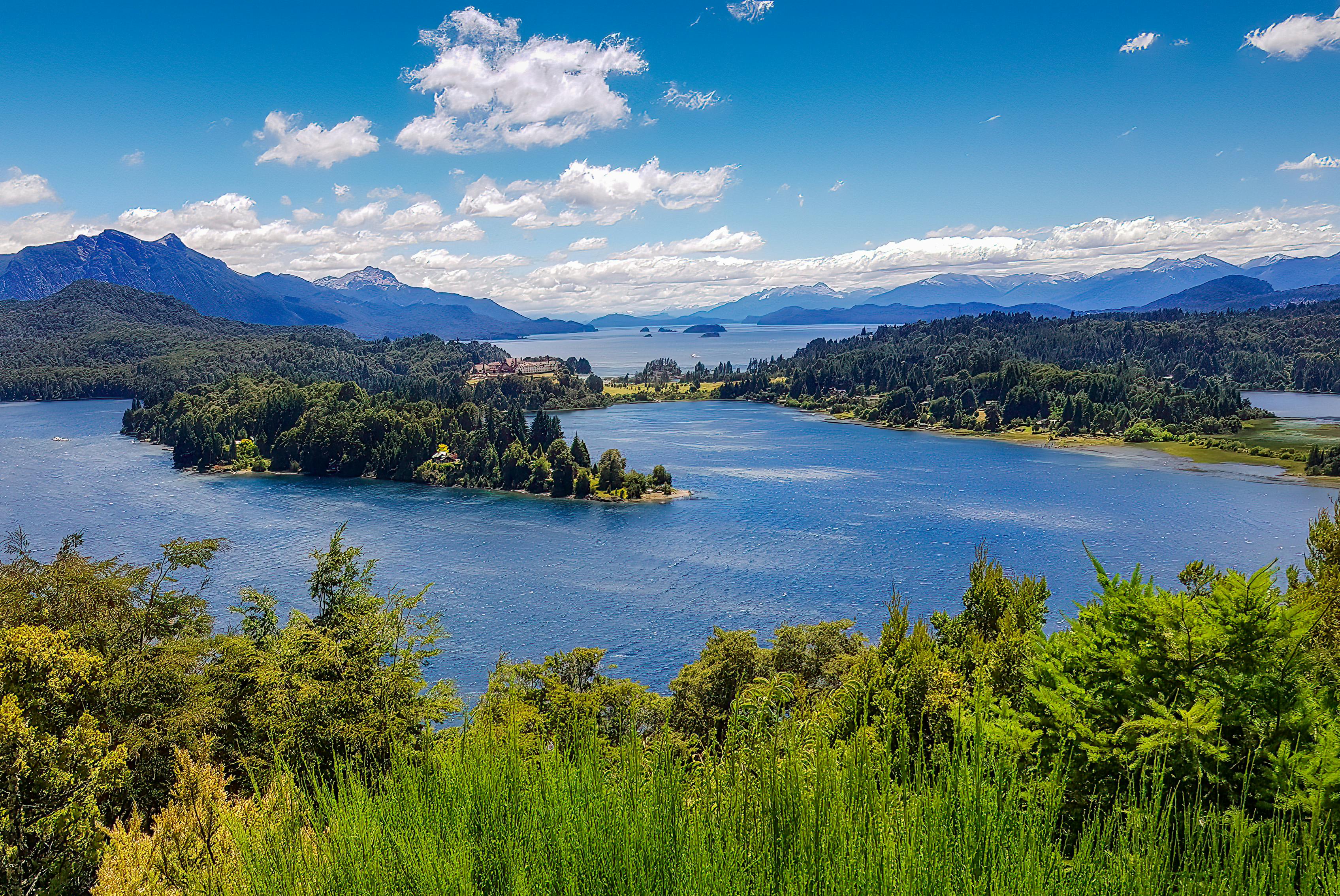 Green Trees With Blue Water Under the Blu Sky · Free Stock Photo