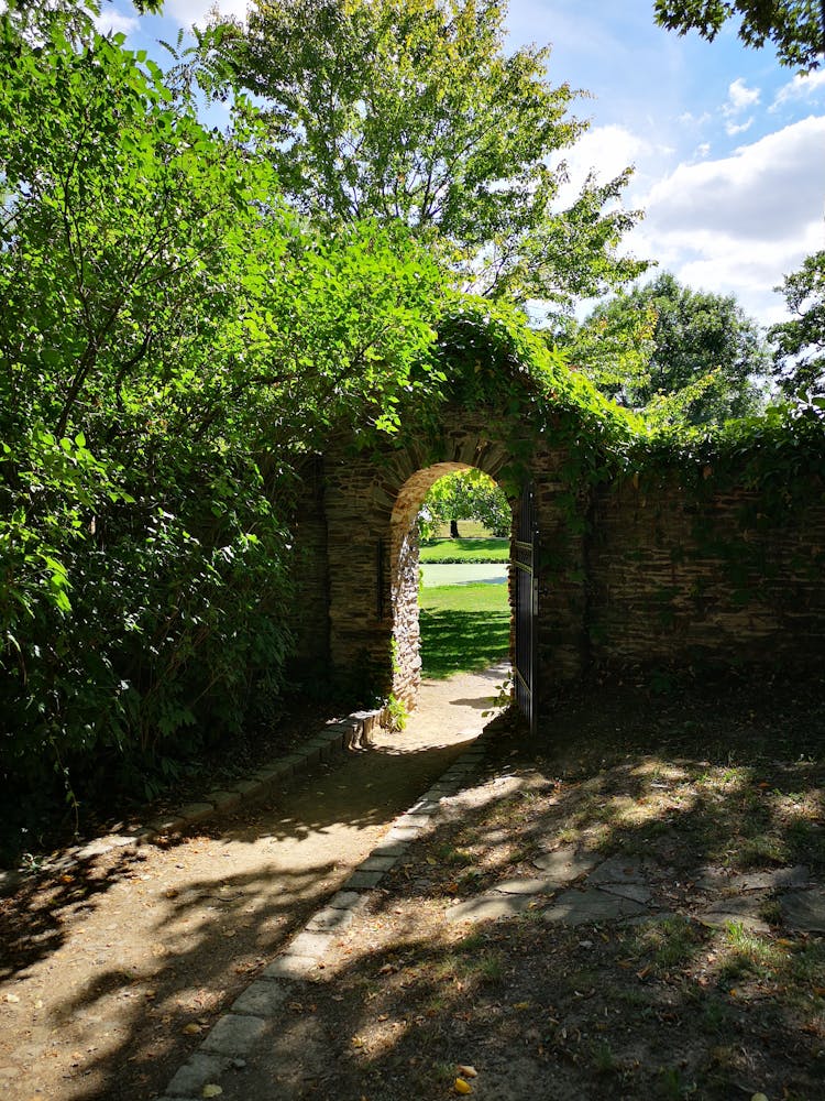 Trees Around Gate In Stone Wall