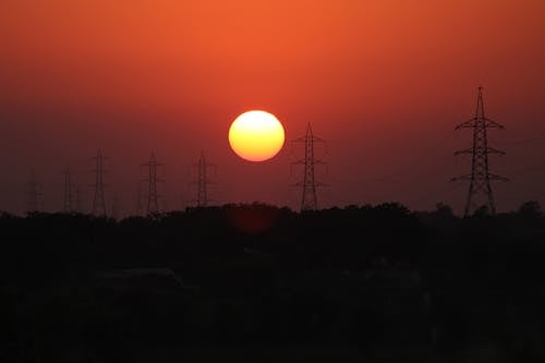 Silhouette of Trees during Sunset