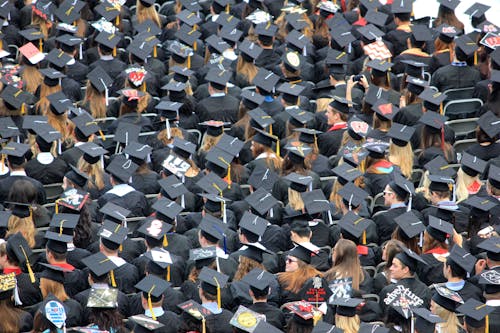 Free stock photo of ceremony, college, commencement