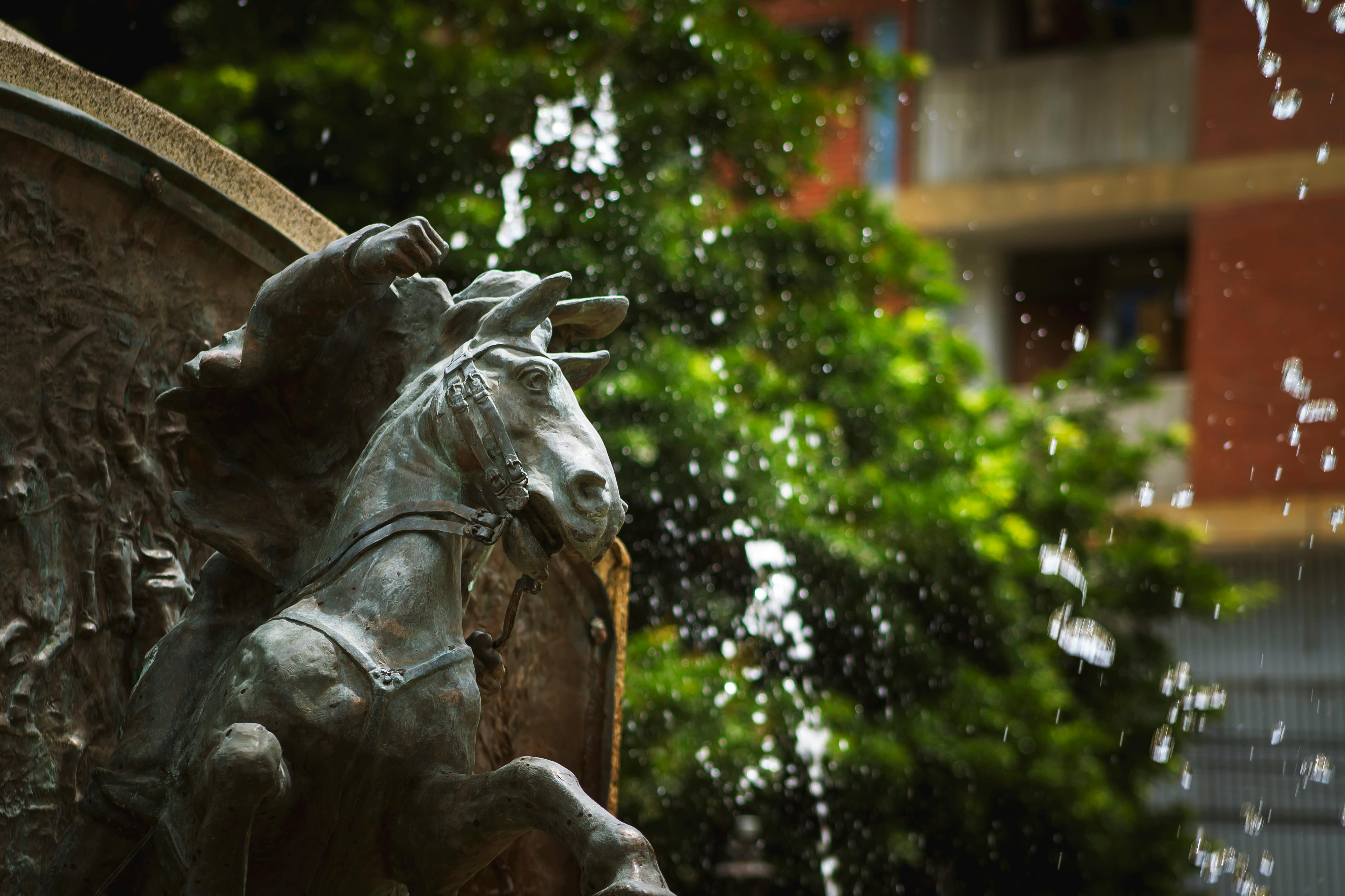 What does it mean when a horse nudges you with his nose?