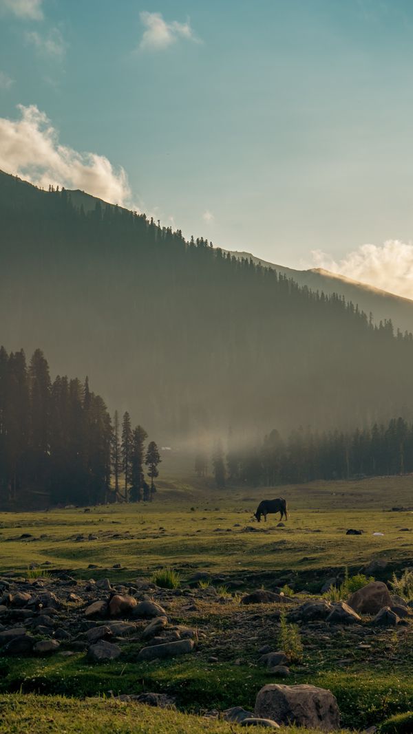 Kashmir Value Srinagar & Pahalgam holiday package