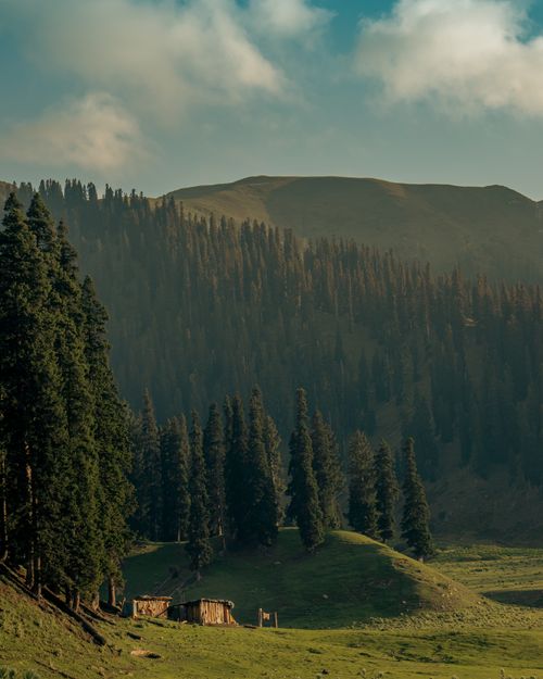 Free Tranquil view of Bangus Valley with pine trees and distant mountains under a blue sky. Stock Photo