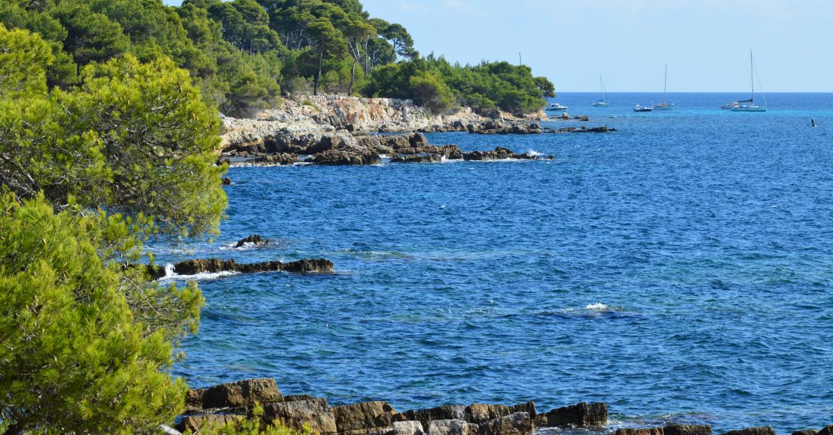 Teluk teduh pinus di pulau Lerins dekat Cannes