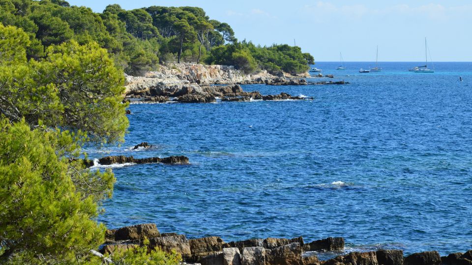 Teluk teduh pinus di pulau Lerins dekat Cannes