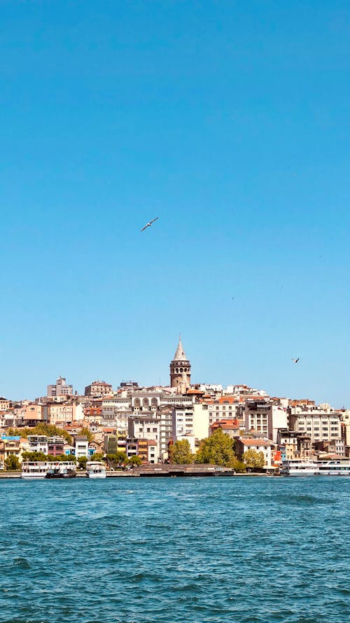 คลังภาพถ่ายฟรี ของ bosphorus, ช่องแคบ, ตึก