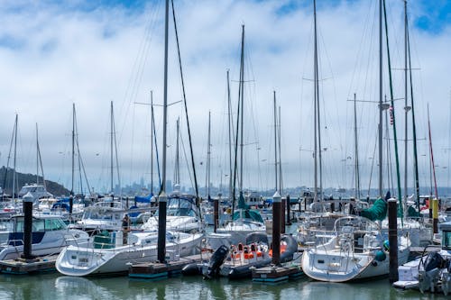 Boats Docked on the Harbor