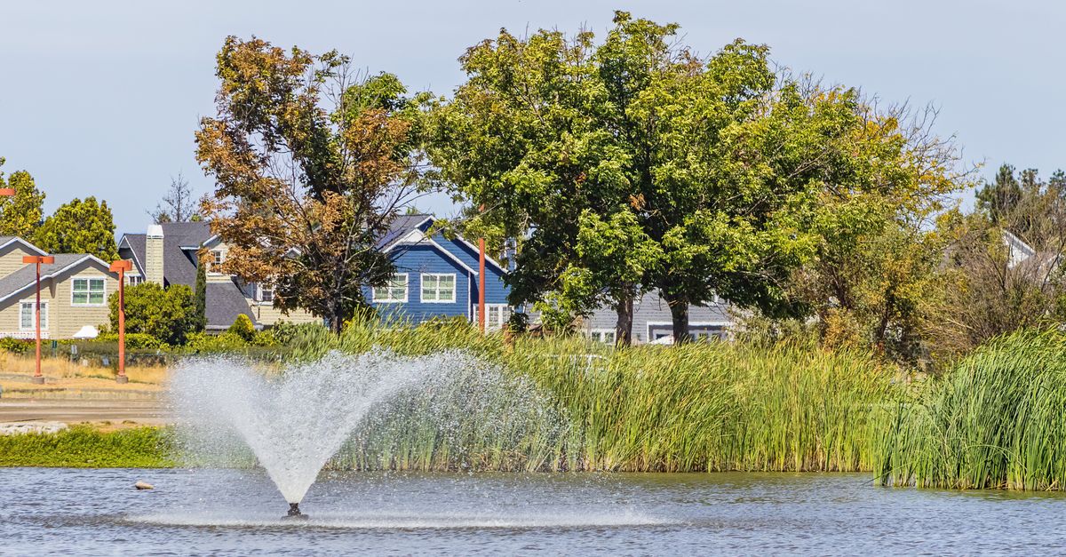 Serene lake view with a water fountain, greenery, and charming houses.