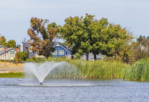 Serene lake view with a water fountain, greenery, and charming houses.