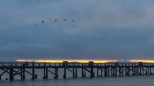 Birds Flying over Pier at Sunset under Clouds